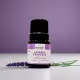 Essência Aromática Pura Lavanda Francesa Aromá 10ml - Tranquilidade (2)