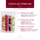 Shampoo SOS Impact Hair Reposição de Massa e Densidade Phyto Ativo 500ml (6)