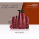 Kit Shampoo 300ml + Máscara 250ml Force System Aneethun (2)