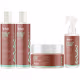 Kit Shampoo + Condicionador + Tonico + Esfoliante Scalp Care Apice Tratamento Estimulante Vegano