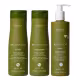 Kit Arvensis Reconstrução - Shampoo 300ml + Condicionador 300ml + Leave-in 300ml (1)
