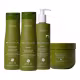 Kit Arvensis Reconstrução - Shampoo 300ml + Condicionador 300ml + Leave-in 300ml + Máscara 300ml (1)