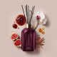 Difusor De Ambiente Com Varetas Casa 214 Figo Magnífico 250ml (2)
