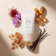 Loção Hidratante Desodorante Corporal Botica 214 Arabian Oasis 150ml (2)
