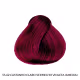 Richée Professional Prismcolor 55.62 Castanho Claro Vermelho Violeta - Coloração Permanente 60g (4)