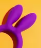 Dona Coelha Elo (3)