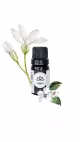 Aromátika Ambience - Essência Concentrada 10ml (2)