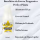Escova Progressiva Sem Formol Profissional Perfect Plastia Dyusar 100 ml (2)