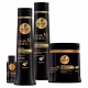 Kit Haskell Cavalo Forte Sh. Cond Mascara 500ml/g + Complexo Fortalecedor (5)