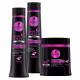 Kit Haskell Cavalo Forte Hidra Trio Sh. Cond. Máscara 500ml (4)