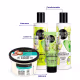 Kit Organic Shop Premium (4 Produtos) (2)
