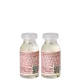 Braé Kit Ampola Essential Antiquebra  - 2x13ml (2)