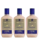 Aneethun Linha A Kit Creme de Silicone Brilho 3x250ml (1)