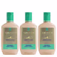 Aneethun Linha A Kit Creme de Silicone Cachos 3x250ml (1)
