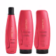 Aneethun Restore System Kit Shampoo Restaurador Máscara Restauradora e Finalizador Restaurador 250g (1)