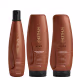 Aneethun Kera System Kit Shampoo Recondicionador e Finalizador Termoativado 250g (1)