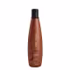 Aneethun Kera System Kit Shampoo Finalizador e Creme de Silicone Brilho 250ml (2)