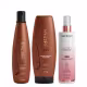 Aneethun Kera System Kit Shampoo Recondicionador e Blend SOS Fluído Reconstrutor 210ml (1)