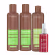 Kit Prohall Burix Home Care + Absolut Oil 60ml