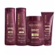 Kit Shitake Shampoo Cond 350ml Máscara 1KG Finalizador 200g