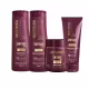 Kit Shitake Shampoo Cond 350ml Máscara 250g Finalizador 200g