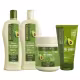 Kit Pós-Química (500mL) Shampoo, Condicionador, Máscara e Finalizador Bio Extratus