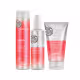 Kit Joico Youthlock Day Trio (3 Produtos)