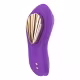 Vibrador de Calcinha com APP 9 Modos de Vibração e Relevos Estimuladores (4)