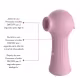 Estimulador Clitoriano com 10 Modos de Ondas de Pressão – Recarregável e Toque Aveludado (4)