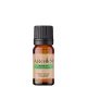 Aroom Aromaterapia Artemísia - Óleo Essencial 5ml (1)