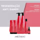 Kit Aneethun Restore System (5 Produtos) (8)