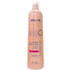 Shampoo Color Hold Salles Profissional 1lt