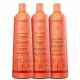 Kit Richée Professional Argan e Ojon Escova Progressiva (3 Produtos) (1)