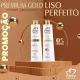 Kit Escova Progressiva Premium Gold S/ Formol Force de Frizz Profissional + Finalizador Oil Argan (3)