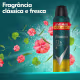 Kit com 12 Desodorantes Antitranspirantes Aerosol Masculino Rexona V8 72 horas 250ml (5)