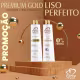 Force de Frizz Progressiva Premium Gold 0% Sem Formol - Alinhamento Capilar 1L (3)