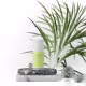 Use Orgânico Lemongrass e Sálvia - Desodorante Natural 55ml (4)