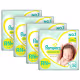 Kit Fralda Pampers Premium Care Recém Nascido Plus com 80 unidades - 3 à 6Kg (1)