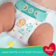 Kit 2 Fraldas Pampers Supersec P 34 Unidades (6)
