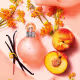 Coleção Fantasy Britney Spears Eau de Toilette 30ml (4)
