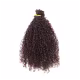 De Benguela Curly com Tecimento - Aplique de Cabelo Cabelo 60cm (100g) (1)