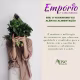 Kit Gelatina Apse para Cabelos Cacheados, Ondulados e Crespos 3x300ml (6)