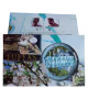 Luffas Life Facial Disco Premium Azul Floral  - Bucha Vegetal (1 Unidade) (4)