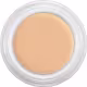 Dermacolor Camouflage Creme - Kryolan (2)