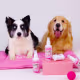 Kit 2x Limpatinha - Patinhas limpas e Protegidas + 1x Xô Bafinho - Saúde bucal pet (4)