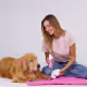 Kit 2x Limpatinha - Patinhas limpas e Protegidas + 1x Xô Bafinho - Saúde bucal pet (6)