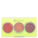 Dalla Makeup Girls Just Wanna Have Fun Trio - Paleta de Blush 9g (1)