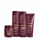 Kit Bio Extratus Shitake Plus (4 Produtos) (1)