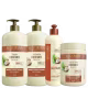 Kit Bio Extratus Umectante Óleo de Coco Salon (4 Produtos) (1)