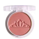 Miss Lary Vegano Khaki - Blush Compacto 10g (2)